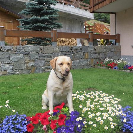 Apartmán Casa Lucia Isolaccia Pokoj fotografie
